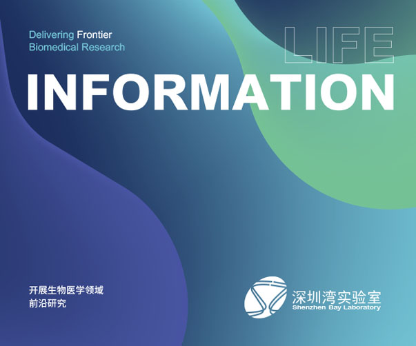 打造專業(yè)品牌名片設計，助力上海企業(yè)品牌營銷