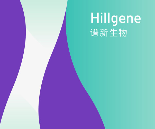 Andermatt網(wǎng)站設(shè)計(jì)：現(xiàn)代網(wǎng)頁(yè)設(shè)計(jì)與瑞士精確性的完美結(jié)合
